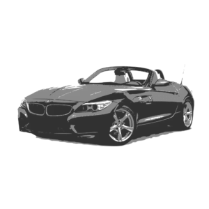 Z4 (E89)