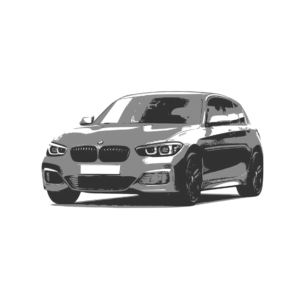 1 series (F2X)